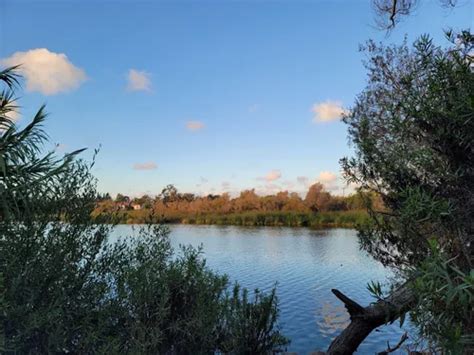 Best Hikes and Trails in Tijuana River Valley Regional Park | AllTrails