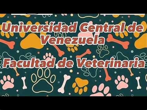 Cultura Universitaria UCV Facultad De Ciencias Veterinarias 2023 YouTube