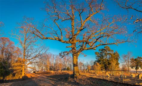 Golden Hour Smithsonian Photo Contest Smithsonian Magazine