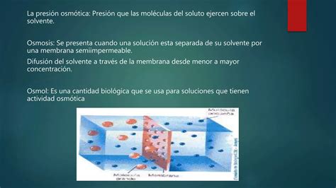 Manejo De Soluciones En Clinica Terapeutica Farmacologia De Edgar