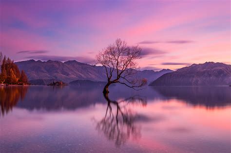 Wanaka Landscape Photography | New Zealand Prints | Rach Stewart