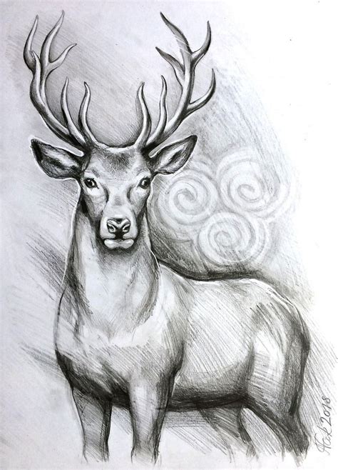 Original Cerf Cerf A3 Crayon Dessin Original Dessin De Etsy Cerf Dessin Dessin Original