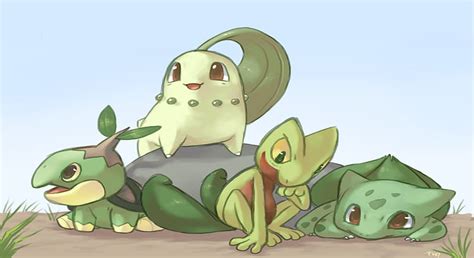 Pokemon Wallpaper Grass Starters