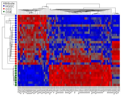 Cluster Analysis Heatmap Cluster Analysis Heatmap Of Expression Levels Download Scientific