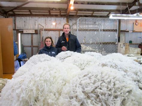 Gallery Wool Classers Association