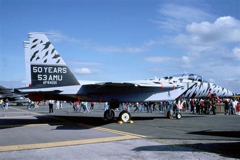 F 15c 53th Tfs Raf Fairford Riat 1991 A Great Air Tattoo Flickr