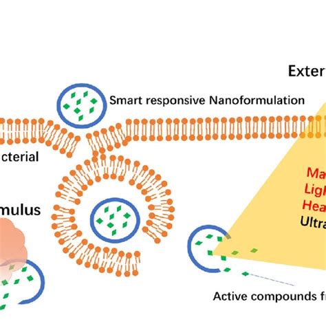 Schematic Representation Of Smart Responsive Download Scientific