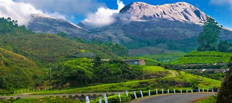 Complete Tourism Info About Munnar Experience Kerala