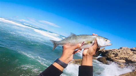 Shad Fishing The Beach On Ultralight Kzn Durban Youtube