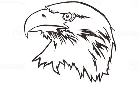 Animal Eagle Head Line Art 22386405 Png