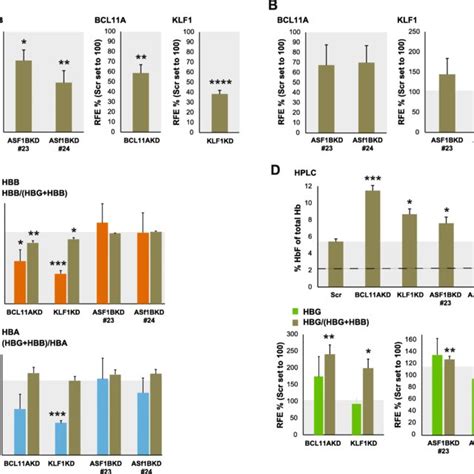 Knockdown Of Asf B In Human Primary Erythroid Cells Induces Globin