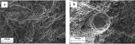 Sem Images Of Solidification Defects Observed On Fracture Surfaces Of