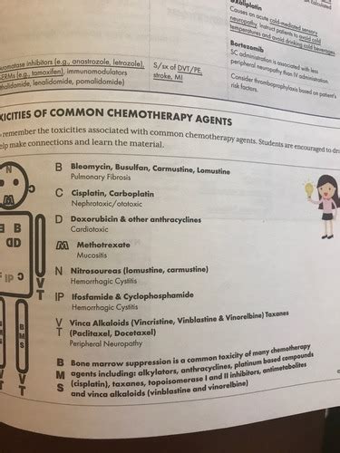 Oncology I Overview And Side Effect Management Flashcards Quizlet