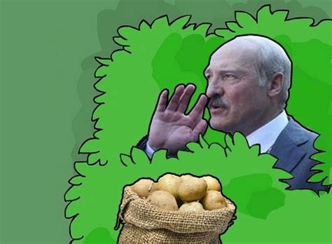 Create meme "potatoes this lad Lukashenko, Alexander Lukashenko ...