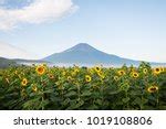 View from Mount Sunflower at Mount Sunflower, Kansas image - Free stock ...