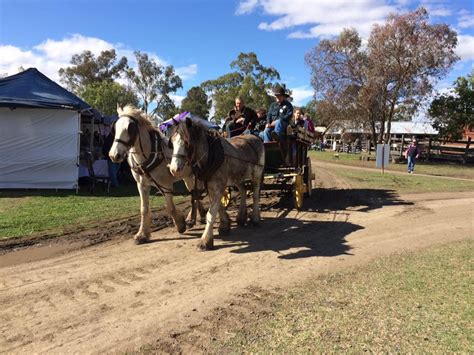 50 Things To Do In Toowoomba In 2024 For Families