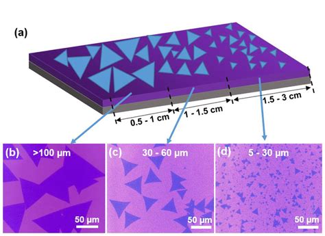 A Schematic Diagram Of A Typical Sample Grown By Our Modified Cvd Download Scientific Diagram