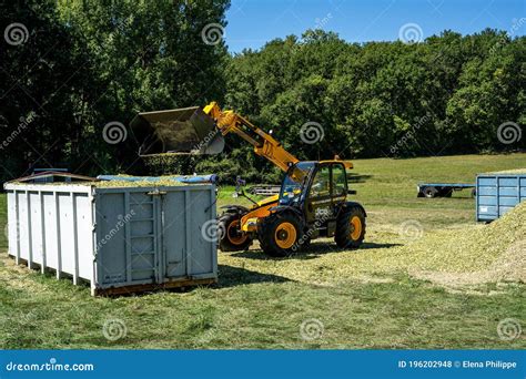 Laguepie, France 25.08.2020 Preparing Sorghum Silage for Cattle Feeding ...