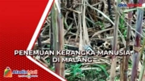 Warga Malang Temukan Kerangka Manusia Di Kebun Tebu Video Dailymotion