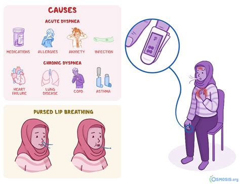 Dyspnea What Is It Pronunciation Causes Assessment Treatment Osmosis