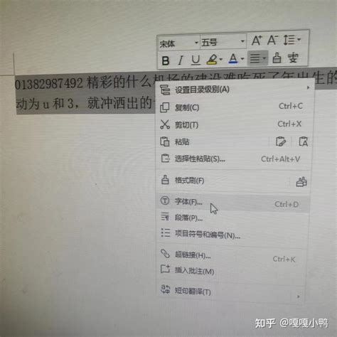 wps一次性全文更换数字和英文字体格式 知乎