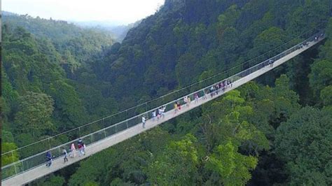 Meter Jembatan Gantung Terpanjang Di Dunia Bakal Dibangun Di