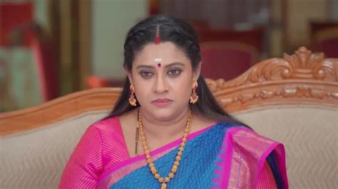 Watch Karthigai Deepam Tv Serial Th February Full Episode