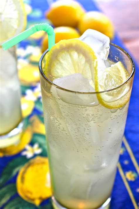 10 Best Gin And Soda Water Recipes