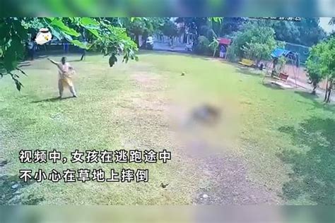 岁女童见人遛狗想离远点，反遭恶犬追捕狂咬口，画面太骇人画面女童