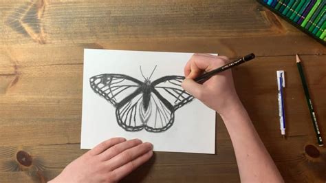 Butterfly Drawing Tutorial Realistic Butterfly With Coloured Pencils