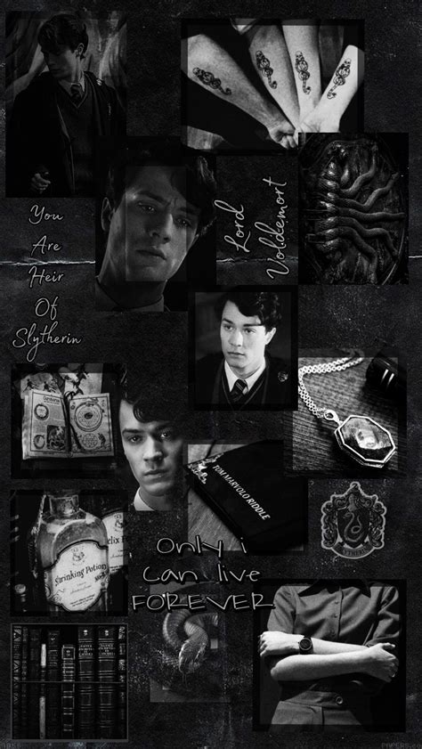 Tom Riddles Aesthetic Slytherin Hayranlık Poster