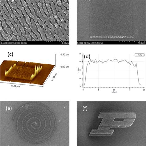 A Sem Image Of Laser Induced Periodic Surface Structure Lipss