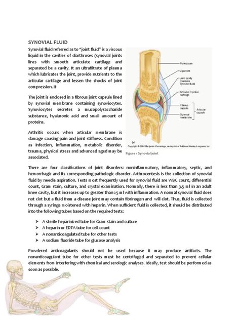 Synovial Fluid Inflammation Arthritis