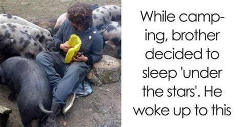 The Things You See When You Wake Up Can Sometimes Surprise You (40 pics ...