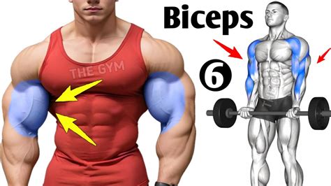 6 Best Exercises For A Big Biceps Youtube