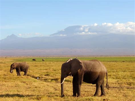 Reasons To Visit Kenya Travel Dudes