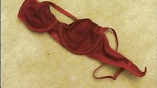 Dildo E Cazzo Insieme AmaPorn