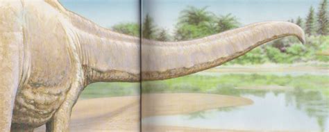 Vintage Dinosaur Art Seismosaurus The Longest Dinosaur Love In The