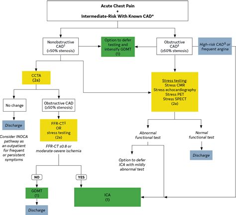 2021 Ahaaccasechestsaemscctscmr Guideline For The Evaluation And