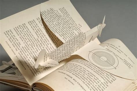 The Library Of Lost Books Kristine Steele The Unfolding