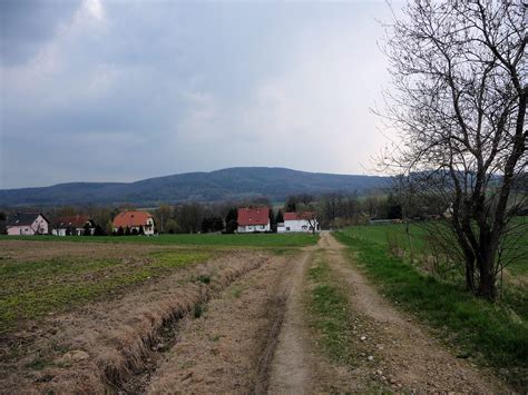 Meschwitz Mit Czorneboh Im Hintergrund April Reinhard Von