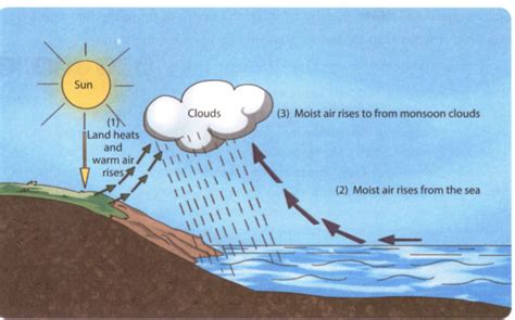 Explain Monsoon Breeze Give A Suitable Diagram