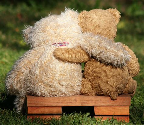 Free Wallpaper: Friendship Teddy Cards, Teddy Friends Greetings