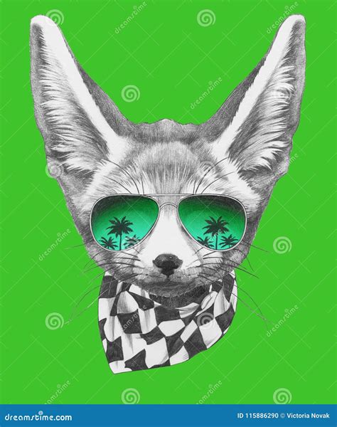 Portrait Of Fennec Fox With Glasses. Hand Drawn Stock Illustration ...