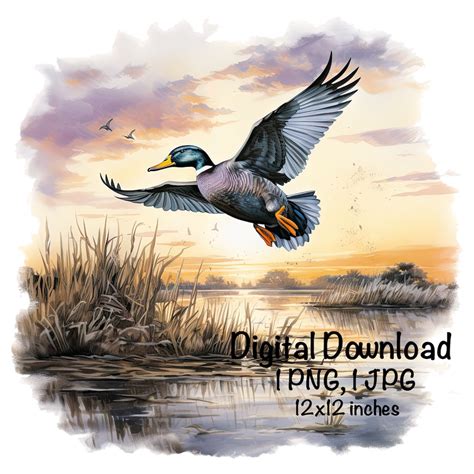 Mallard Duck Png Wild Duck Sublimation Png Mallard Duck Sublimation