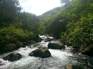 Hiking Iao Valley | Being Abroad