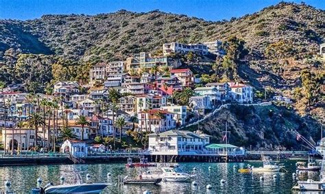 Santa Catalina Island Company - Santa Catalina Island Company | Groupon