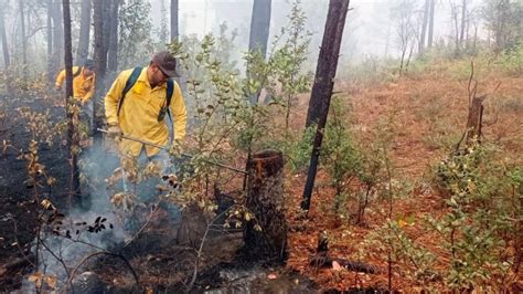 Lluvias De Chihuahua Extinguen Incendios Del Estado Quedan Tres Activos