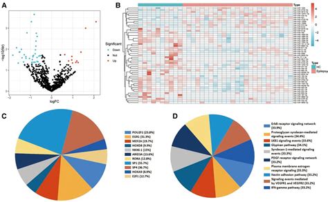 Frontiers Identification Of Mirnas In Extracellular Vesicles As