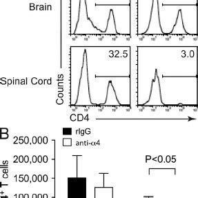 In Adoptive Transfer Eae Antigen Specific Th But Not Th Cells